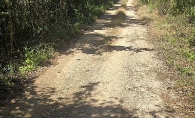 Terreno en Venta, excelente opción, 80 Has, Temozon, Yucatán.