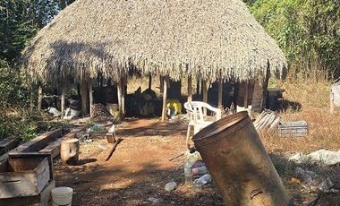 Terreno en Venta, excelente opción, 80 Has, Temozon, Yucatán.