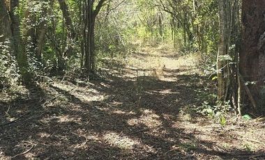 Terreno en Venta, excelente opción, 80 Has, Temozon, Yucatán.