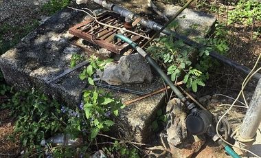 Terreno en Venta, excelente opción, 80 Has, Temozon, Yucatán.