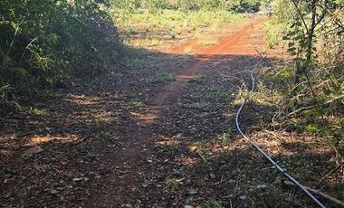 Terreno en Venta, excelente opción, 80 Has, Temozon, Yucatán.