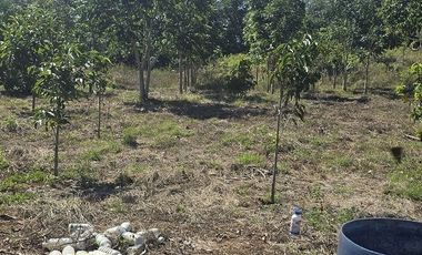 Terreno en Venta, excelente opción, 80 Has, Temozon, Yucatán.
