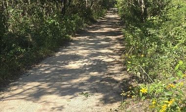 Terreno en Venta, excelente opción, 80 Has, Temozon, Yucatán.