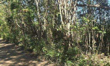 Terreno en Venta, excelente opción, 80 Has, Temozon, Yucatán.
