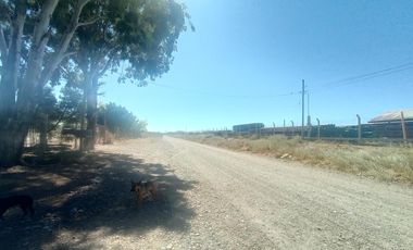 Galpón ubicado en la ciudade de Senillosa, provincia de Neuquén.