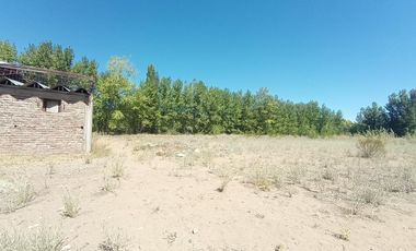 Galpón ubicado en la ciudade de Senillosa, provincia de Neuquén.