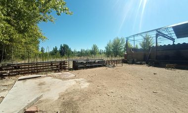 Galpón ubicado en la ciudade de Senillosa, provincia de Neuquén.