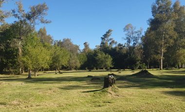 Venta en bloque Terrenos - 20x60mts - 1200mts2 totales  - Barrio Brisas del Sud