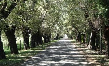 Espectacular  lote en Country Club Larena, Pilar