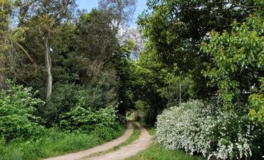 Terrenos en venta - 20 x 30mts - 600mts2 - Barrio Brisas del Sud