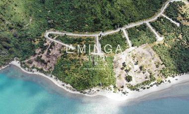 Sitio en Venta en Rio Puelo, Lago Tagua Tagua