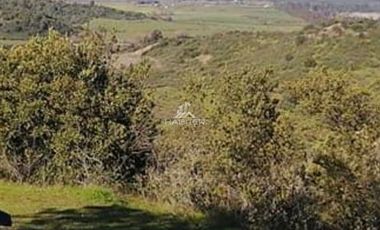Parcela en Venta en Condominio Altos de Queri, San Clemente