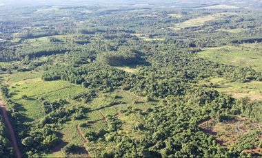 Se vende Chacra en San Ignacio Misiones. Yerba, forestación y arroyo