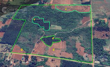 Se vende Chacra en San Ignacio Misiones. Yerba, forestación y arroyo