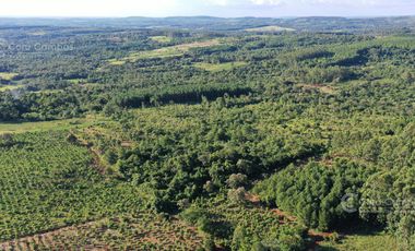Se vende Chacra en San Ignacio Misiones. Yerba, forestación y arroyo