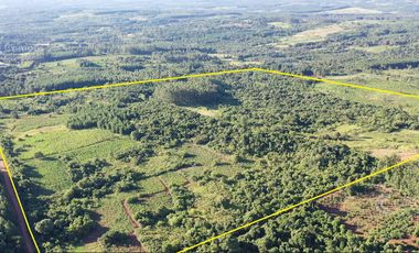 Se vende Chacra en San Ignacio Misiones. Yerba, forestación y arroyo