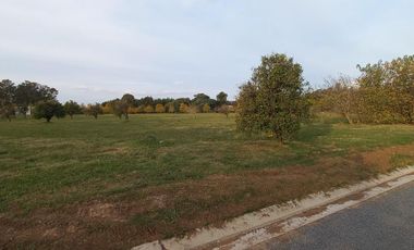 Lote 854 m2 - Azahares del Paraná - Fighiera Santa Fe | Venta