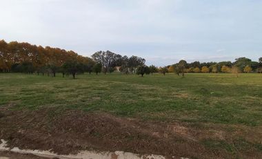 Lote 854 m2 - Azahares del Paraná - Fighiera Santa Fe | Venta
