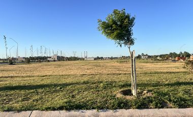 Venta Lote de 300m² en ECOTIERRA, Pueblo Esther
