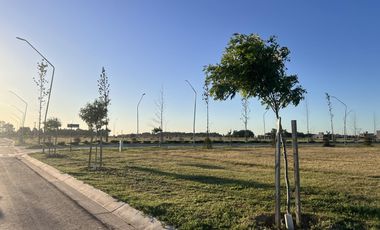 Venta Lote de 300m² en ECOTIERRA, Pueblo Esther