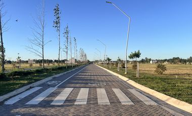 Venta Lote de 300m² en ECOTIERRA, Pueblo Esther