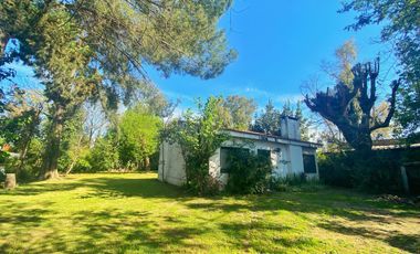 VENTA CASA QUINTA TRISTAN SUAREZ 750 M2 JARDIN PARRILLA