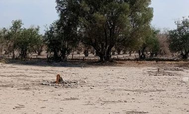 Venta Terreno/Lote Maipu