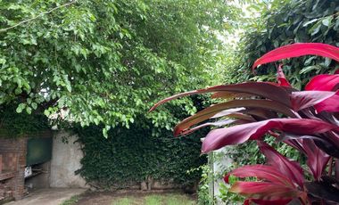 PH en Villa Adelina