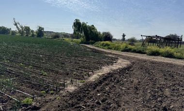 TERRENO LAMPA 12 HA