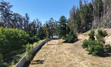 VENDO TERRENO DE 2962,7 M2 EN MITRINHUE