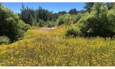 VENDO PARCELA 2,02 HAS, SECTOR EL QUILLAY, FLORIDA