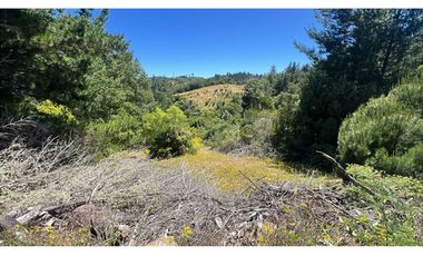 VENDO PARCELA 2,02 HAS, SECTOR EL QUILLAY, FLORIDA