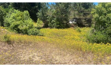 VENDO PARCELA 2,02 HAS, SECTOR EL QUILLAY, FLORIDA