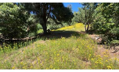 VENDO PARCELA 2,02 HAS, SECTOR EL QUILLAY, FLORIDA