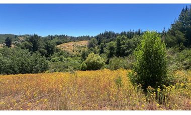 VENDO PARCELA 2,02 HAS, SECTOR EL QUILLAY, FLORIDA