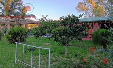 Apart del Yerua