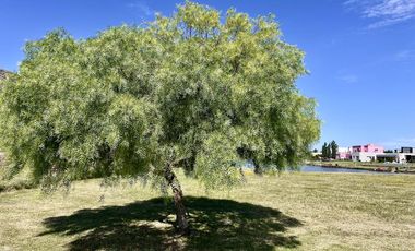 VENTA LOTE A LA LAGUNA - SAN SEBASTIAN AREA 1 NUESTRA SEÑORA DEL PILAR