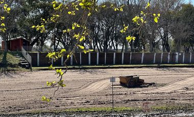 Balnerario Los Pinos - A metros de la Ruta Nacional 14 y a metros de la Ruta Provincial 20