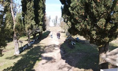 Balnerario Los Pinos - A metros de la Ruta Nacional 14 y a metros de la Ruta Provincial 20