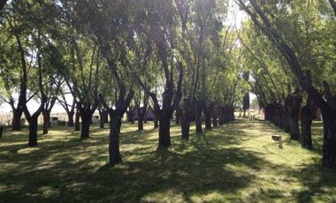 Balnerario Los Pinos - A metros de la Ruta Nacional 14 y a metros de la Ruta Provincial 20