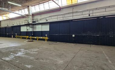 Depósito - Alquiler - Pablo Podestá