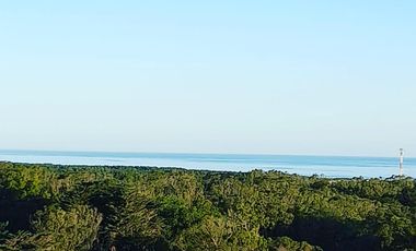 Terrenos en venta - 4.255Mts2 - Arenas Verdes, Lobería