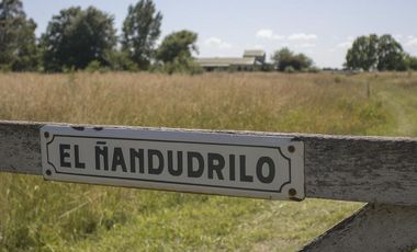 Chacra 10 Hectáreas en Cañuelas