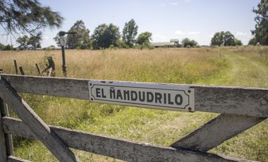 Chacra 10 Hectáreas en Cañuelas