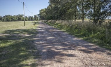 Chacra 10 Hectáreas en Cañuelas