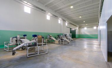 TERRENO DE 9420M2 VENTA NAVE INDUSTRIAL ROLDAN SAN LORENZO