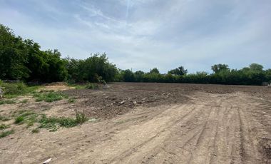 Terreno en alquiler - General Pacheco - Tigre - Javier Quintana Inmobiliaria