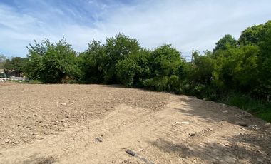 Terreno en alquiler - General Pacheco - Tigre - Javier Quintana Inmobiliaria