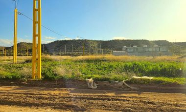 Terreno 360m2 - sobre ruta 7  - CENTENARIO