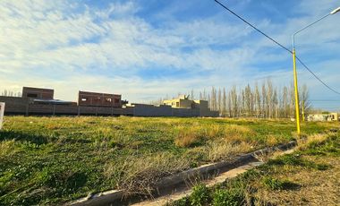 Terreno 360m2 - sobre ruta 7  - CENTENARIO